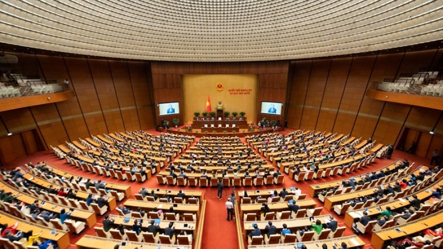 Nhiệm kỳ đặc biệt của Quốc hội khóa XV